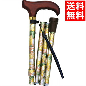 t@bV  Mtg  ԕ܂肽݃XebL(ԕ×uE)(43-F1) / Ε ~Mtg j Ԃ j oY  oYj j j 蕨 v[g a L