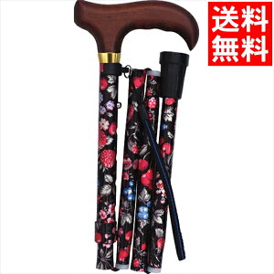 t@bV  Mtg  ԕ܂肽݃XebL(ԕ×ubN)(43-F2) / v[g c j Ԃ j oY  oYj j j 蕨 v[g a