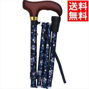 t@bV  Mtg  ԕ܂肽݃XebL(NVbNK[f×lCr[)(43-C4) / v[g c j Ԃ j oY  oYj j j 蕨