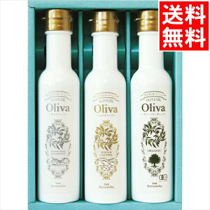 Ε Hp Mtg  MVY GNXgo[WI[uICMtg(A-567) / Ε ~Mtg j Ԃ Ԃ j  Zbg HpIC ICMtg 