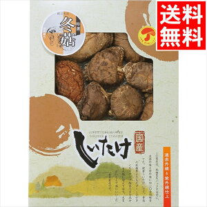 j ő Mtg  Y؊őǂ(125g)(OD-30) / v[g c j Ԃ Ԃ  VC^P ǂ񂱒ő ő VC^P  ő ő 