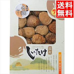 Ε ő Mtg  Y؊őǂ(180g)(OD-40) / Ε ~Mtg j Ԃ Ԃ  VC^P ǂ񂱒ő ő VC^P  ő ő ؍͔| 