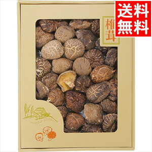 j ő Mtg  Y؊őǂ(210g)(OD-50) / v[g c j Ԃ Ԃ  VC^P ǂ񂱒ő ő VC^P  ő ő 