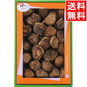 j ő Mtg  啪Y ǂ񂱒ő(80g)(LO-30S) / v[g c j Ԃ Ԃ  VC^P ǂ񂱒ő ő VC^P  ő ő ؍