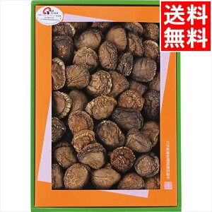 j ő Mtg  啪Y ǂ񂱒ő(130g)(LO-40S) / v[g c j Ԃ Ԃ  VC^P ǂ񂱒ő ő VC^P  ő ő 