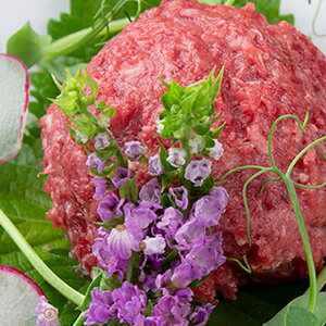 Ε y Mtg  ܃gnbP (SY-3) / Ε ~Mtg j Ԃ oYj Zbg lߍ킹 l  Hi  y  uh LX y 