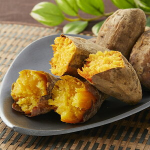 Ε y Mtg  uS΁v Jawa Ă / Ε ~Mtg j Ԃ oYj Ԃ Zbg lߍ킹 l a a aH uh LX y ȒP {i 