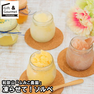 お歳暮 アイス ギフト 送料無料 和歌山 「ふみこ農園」 凍らせて!ソルベ / 御歳暮 冬ギフト 内祝い お返し 出産内祝い 洋菓子 お菓子 詰め合わせ セット 詰合せ アイスクリーム ソルベ シャ