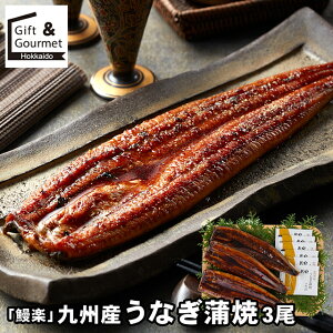 Ε Ȃ Mtg  uVyv BY Ȃ3 / H O ΕMtg Ε ~Mtg EiM V Ă  lߍ킹 l j Ԃ j oYj 