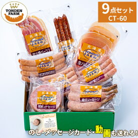 内祝い ハム ソーセージ ギフト 送料無料 北海道 トンデンファームギフト(CT-60) / 寒中見舞い 冬ギフト お返し 出産内祝い 結婚内祝い 北海道 ベーコン ハムギフト ハム詰め合わせ 骨付き 人気 炭焼き 内祝 グルメ[card] Tsau