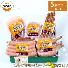 内祝い ハム ソーセージ ギフト 送料無料 北海道 トンデンファームギフト(K-3) / 寒中見舞い 冬ギフト お返し 出産内祝い 結婚内祝い 詰め合わせ 北海道 ベーコン ハムギフト ハム詰め合わせ 骨付き 人気 炭焼き 内祝[card] Tsau