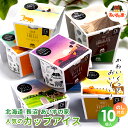 お中元 アイス ギフト 送料無料 北海道 長沼 あいすの家 人気8種のカップアイス 10個セット / 御中元 夏ギフト 内祝い お返し アイスクリーム スイーツ ジェラート カップアイス 北海道 長沼 アイスの家 お取り寄せ 人気 高級 有名 ブランド 牛乳 ミルク 濃厚 ひんやり