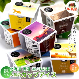 お中元 アイス ギフト 送料無料 北海道 長沼 あいすの家人気のカップアイス / 御中元 夏ギフト 2026 お中元アイス 内祝い お返し アイスクリーム スイーツ ジェラート カップアイス 北海道 長沼あいす アイスの家 詰め合わせ 詰合せ お取り寄せ 高級 有名 牛乳 ミルク hice