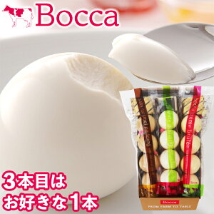 Ε XC[c v Mtg  BOCCA q vOi1j(3{Zbg) / Ε ~Mtg j Ԃ kC v ܂邢 ۂv D  ʔ 킢 lߍ