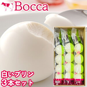 hV̓ XC[c v Mtg  BOCCA qƂ̔v 3{Zbg / v[g c j Ԃ kC v ܂邢 D O  lC ۂv q 