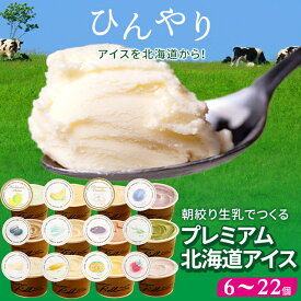 ＼300円OFF／お中元 アイスクリーム ギフト アイス 送料無料 北海道 カウベルアイス 6個 12個 15個 22個 / 御中元 夏ギフト 2026 お中元アイス 内祝い お返し スイーツ アイスギフト ジェラート 詰め合わせ 詰合せ 北海道アイス バニラ 牛乳 いちご セット さっぱり hice