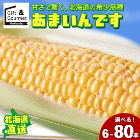 【2026年予約】 とうもろこし 北海道 送料無料 北海道産 南幌町明るい農村ネットワーク あまいんです 6本 10本 25本 40本 80本 / トウモロコシ とうきび トウキビ スイーツコーン スイートコーン 黄色 黄 南幌 産地直送 産直 甘い 旬 人気 お取り寄せ mtpup