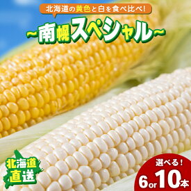 【2026年予約】 とうもろこし 北海道 送料無料 北海道産 南幌スペシャル ( ピュアホワイト あまいんです ) 食べ比べ 6本 10本 / トウモロコシ とうきび 白いとうもろこし セット スイーツコーン スイーツ ホワイト ホワイトコーン 黄色 産地直送 産直 夏 旬 甘い mtpup