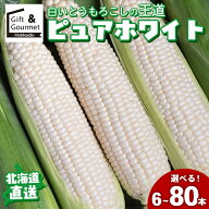 【2026年予約】 とうもろこし 北海道 送料無料 北海道産 白いとうもろこし ピュアホワイト 6本 〜 80本 …