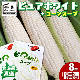 【2026年予約】 とうもろこし 北海道 送料無料 北海道産 白いとうもろこし 南幌町明るい農村ネットワーク ピュアホワイト(8本)＆スープセット / トウモロコシ とうきび 白い 白系 ホワイト ホワイトコーン おいしい 旬 フルーツ 甘い 高糖度 直送 お取り寄せ mtpup