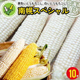 【最大1000円OFFクーポン】【出荷中】 とうもろこし 北海道 送料無料 北海道産 南幌スペシャル(ピュアホワイト/あまいんです) 6本 10本 / トウモロコシ とうきび 白いとうもろこし 食べ比べ スイーツコーン スイーツ ホワイト ホワイトコーン 産地直送 産直 夏 旬 甘い mtpup