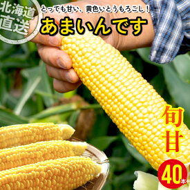 【予約】 とうもろこし 北海道 送料無料 北海道産 南幌町明るい農村ネットワーク あまいんです 6本 10本 25本 40本 80本 / トウモロコシ とうきび トウキビ スイーツコーン スイートコーン 南幌 産地直送 産直 美味しい 甘い 旬 夏 野菜 人気 有名 高級 お取り寄せ mtpup