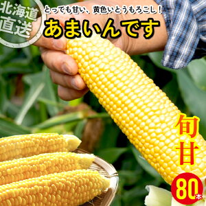 y2026N\z Ƃ낱 kC  kCY y邢_lbg[N ܂ł 6{ 10{ 25{ 40{ 80{ / gERV Ƃ gELr XC[cR[ XC[gR[