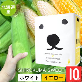 【最大1000円OFFクーポン】【順次出荷中】 とうもろこし 北海道 ギフト 送料無料 SHIROKUMA SWEET 北海道産 イエローコーン＆ホワイトコーン (6本入・10本入) / トウモロコシ とうきび 白いとうもろこし 食べ比べ ピュアホワイト ホワイトショコラ 白い 白 黄 夏 旬 mtpup
