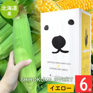 yoגz Ƃ낱 kC Mtg  SHIROKUMA SWEET kCY CG[R[ (6{E10{) / gERV Ƃ  S[hbV b  F CG[ CG[R[