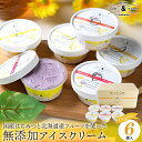 【最大1000円OFFクーポン】お中元 アイス ギフト 送料無料 桂井養蜂園 国産 はちみつ使用 北海道産フルーツの 無添加アイス 6個セット / 御中元 夏ギフト 暑中見舞い 内祝い お返し アイスクリーム 無添加 スイーツ 北海道 高級 ハチミツ 蜂蜜 果物 詰め合わせ セット
