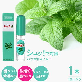 【ゆうパケット/送料無料】北見ハッカ通商 ハッカ油スプレー 1本(10ml) / 北海道産 北海道 北見 ハッカ油 スプレー 天然 花粉症対策 花粉症 花粉対策 ミント ミントスプレー 熱中症対策 虫除け 蚊よけ 気分転換 冷感 ひんやり 涼しい 冷感 猛暑対策 グッズ【SSS_1】
