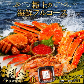 【贈り物にはカニ！】 お歳暮 カニ 海鮮 ギフト 送料無料 特選 海鮮セットB(潮彩＋たらば脚追加セット) / 御歳暮 冬ギフト 内祝い お返し 海鮮セット 海鮮 カニ かに 蟹 毛蟹 毛ガニ ズワイガニ 姿 タラバガニ タラバガニ足 蟹 詰め合わせ 詰合せ 北海道産 海の幸 海産物