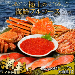 y蕨ɂ̓JjIz Ε Jj CN Mtg  I CNZbgH (ʁ{瑝ʃZbg) / Ε ~Mtg j Ԃ CNZbg CN Jj  I ъI уKj YCKj