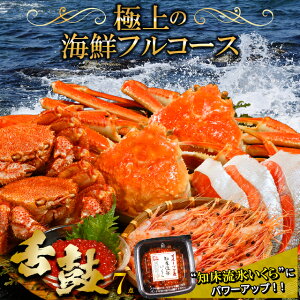 y蕨ɂ̓JjIz Ε Jj CN Mtg   CNZbg (Â)(7iZbg) / Ε ~Mtg j Ԃ kCY CNZbg CN ъI уKj YCKj 