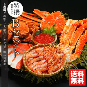 y蕨ɂ̓JjIz Ε Jj CN Mtg  I CNZbgB(ʁ{΋rǉZbg) / Ε ~Mtg j Ԃ kCY CNZbg ъI уKj YCKj p ^