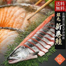 【最大1000円OFFクーポン】【一切れずつ使える！】 お中元 新巻鮭 ギフト 送料無料 銀毛新巻鮭(北海道日高太平洋沖産)(1切れ真空包装)姿戻し 半身戻し / 御中元 夏ギフト 内祝い お返し 荒巻鮭 新巻き鮭 国産 北海道 北海道産 魚 鮭 半身 一本 切り身 個包装 小分け サケ