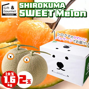 �y2026�N�\��z ������ �k�C�� �M�t�g �������� SHIROKUMA SWEET �k�C���Y �ԓ������� (1�ʖ�1.6kg ��� L�T�C�Y) / ������ �䒆�� �ăM�t�g ���������� ���j�� ���Ԃ� �k�C�������� �ԓ� �ԓ������� 