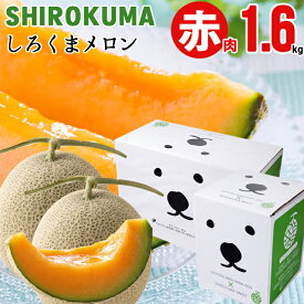 【最大1000円OFFクーポン】【出荷中】お中元 夏ギフト メロン ギフト 送料無料 SHIROKUMA SWEET 北海道産 赤肉メロン (1玉約1.6kg 大玉 Lサイズ) / 御中元 暑中見舞い 内祝い お返し 北海道 北海道メロン 富良野 らいでんメロン 赤肉 1玉 2玉 2玉 旬 高級 mtpup
