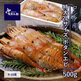 ボタンエビ 特大2Lサイズ 500g (9〜10尾)ボタン海老 刺身 特大海老刺身 冷凍エビ 特大 大きい 海老 刺身用 甘い 特大エビ ボタン海老 ぼたんえび 有頭海老 有頭 エビ 冷凍 冷凍海老 頭付き お刺身 冷凍海鮮 おいしいお取り寄せ 高級食材 ギフト 冷凍グルメ 海鮮 贈答用