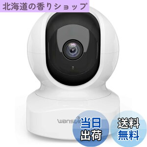 �y���������zWansview Q5�l�b�g���[�N�J�����y����z300����f 2K�x�C�r�[���j�^�[�����p �x�r�[�V�l�y�b�g�����J����