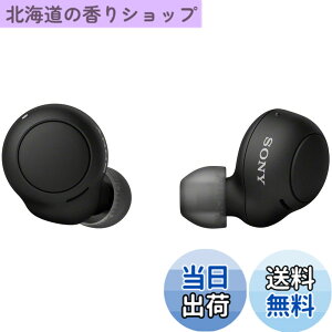 �y���������z�\�j�[(SONY) ���S���C�����X�C���z�� WF-C500 : /�y�ʏ��^5.4g/�����x�ʘb�i��/�ȒP�y�A�����O/IPX4�h�H���\/�u���b�N WF-C500 BZ