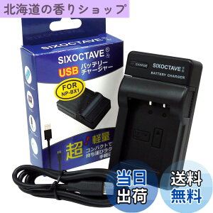 �y���������zSIXOCTAVE �\�j�[�p �T�C�o�[�V���b�g DSC-HX90V/DSC-WX500/DSC-RX100/HDR-AS100V/HDR-AS200V/DSC-RX100/DSC-HX50V/DSC-HX300/DSC-WX300/DSC-RX100M6/DSC-RX100M7 ZV-1 ZV-1G ZV-1F �݊��}���[�d�� USB�`���[�W���[ BC-TRX NP-BX1