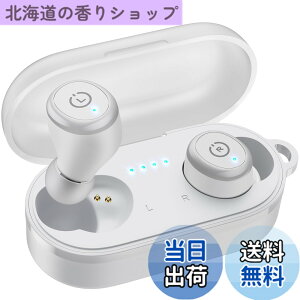 �y���������zTOZO T10 �C���z�� bluetooth ���C�����X�C���z�� ���ቹ�� �g�F�n���� ���^�y�� ���K �}�C�N���� AI �ʘb���m�C�Y���_�N�V���� �J�X�^��EQ �A�v���Ή� �����h�����i�A�v���Ń^�b�`��