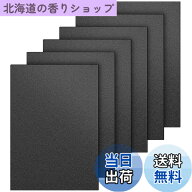 【送料無料】DERENYI プラスチック板 黒 abs板 6枚入り 長さ400mmx幅300mmx厚さ1.5mm | 塩ビ板 片面つや…