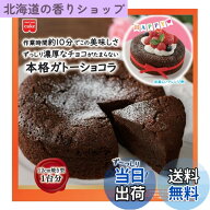 【送料無料】ホームメイド 共立食品 本格ガトーショコラキット 170g