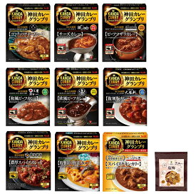 【送料無料】レトルト カレー 神田カレー グランプリ 詰め合わせ 食セット 三月の水 ボンディ マンダラ 日乃屋 100時間 B&R 大勝軒 ガリガリ jimbocho ビストロべっぴん舎 食べ比べ 全9食 セット