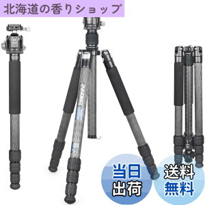 �y���������zINNOREL RT85C �J�[�{�� �O�r �{�[���_�� �L�b�g 184CM �g���x���O�r �v���� �i�b�g���b�N�� �G���x�[�^�[�� �ω׏d 25KG �l�i�r ��r�ώ� �p�C�v�a32mm ���y�� �^���� �o�R ��O �쒹 