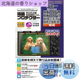 �y���������zKenko �t���ی�t�B���� �t���v���e�N�^�[ SONY Cyber-shot RX100VII/VI/V/IV/III/II/RX1/1R/1RII�p ���{�� KLP-SCSRX100M7