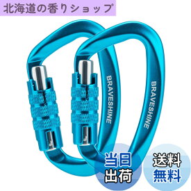 【送料無料】BRAVESHINE カラビナ 12KN オートロック式 耐荷重1200kg 2個セット (ブルー)