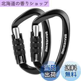【送料無料】BRAVESHINE カラビナ 12KN オートロック式 耐荷重1200kg 2個セット (ブラック)